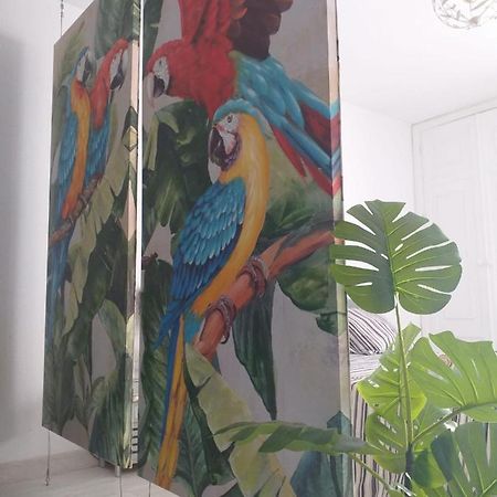 Tropical Loft Lägenhet Corralejo Exteriör bild